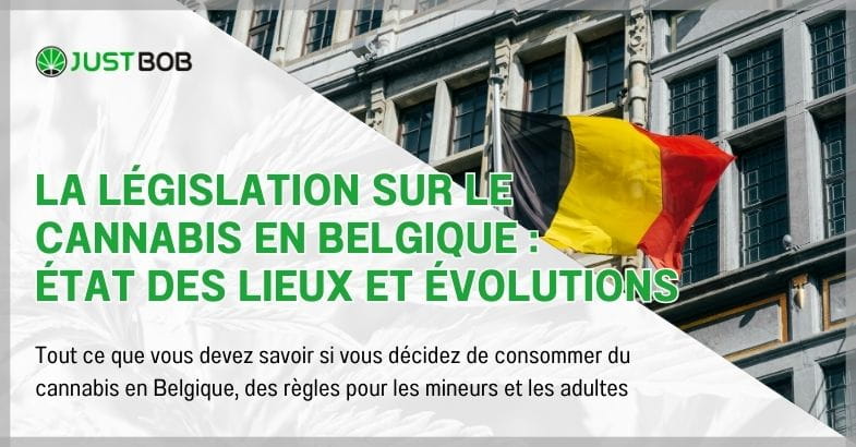 La législation sur le cannabis en Belgique