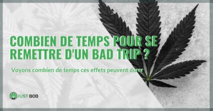 Combien de temps faut-il pour se remettre d'un bad trip | Justbob