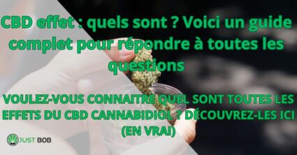 CBD effet : quels sont ?