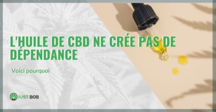 l'huile de CBD ne crée pas de dépendance | just bob