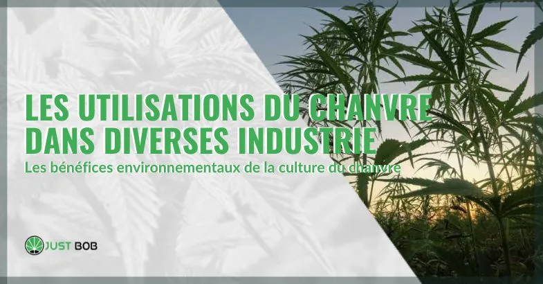 Les-utilisations-du-chanvre-dans-diverses-industrie (2) Les utilisations du chanvre dans diverses industrie | Justbob