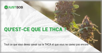 Qu'est-ce que le THCA ?