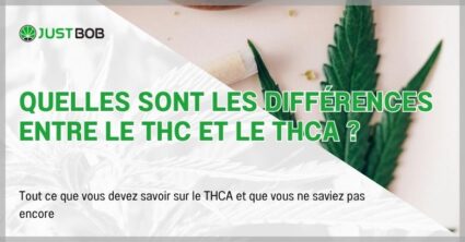 Quelles sont les différences entre le THC et le THCA ?