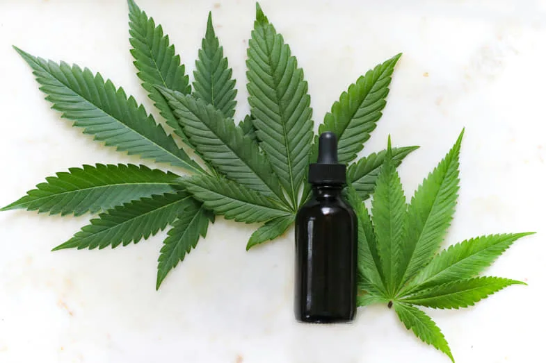 Huile CBD légale en France avec certificat d'analyse THC inférieur 0,3% et traçabilité réglementaire