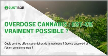 Overdose cannabis : est-ce vraiment possible ?