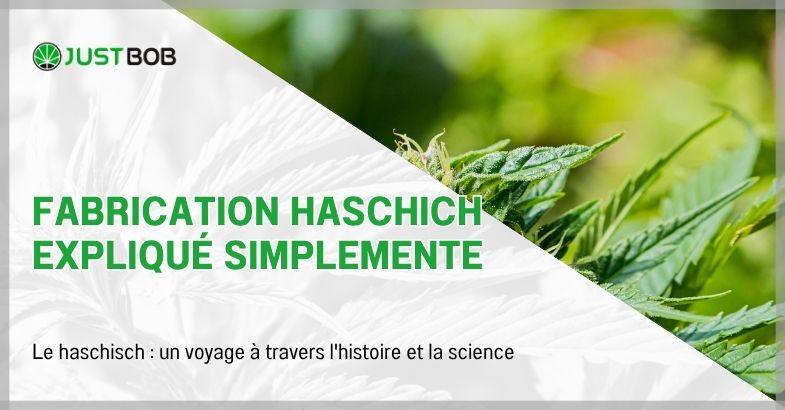 Fabrication haschich expliqué simplemente