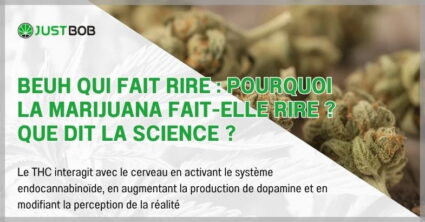 Beuh qui fait rire : pourquoi la marijuana fait-elle rire ?