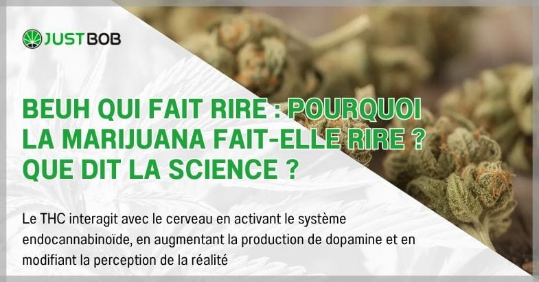 Beuh qui fait rire : pourquoi la marijuana fait-elle rire ?
