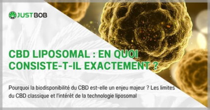 CBD liposomal : en quoi consiste-t-il exactement ?