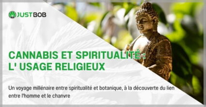 Cannabis et spiritualité : l' usage religieux