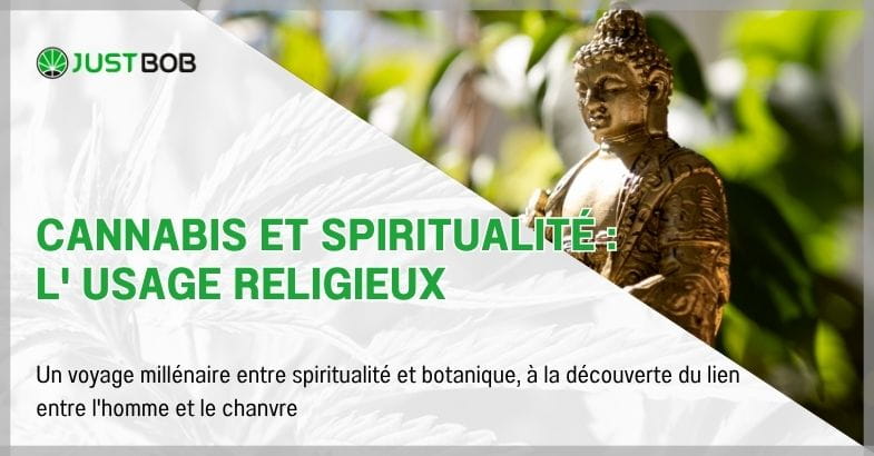 Cannabis et spiritualité : l' usage religieux