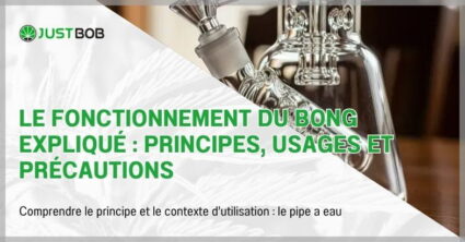Le fonctionnement du bong expliqué : principes, usages et précautions