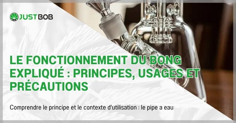 Le fonctionnement du bong expliqué : principes, usages et précautions