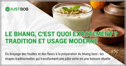 Le bhang, c'est quoi exactement ? Tradition et usage moderne