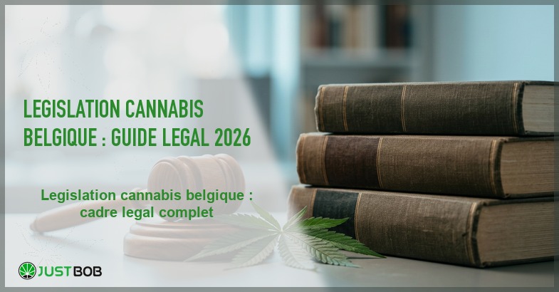 Banner de l'article legislation cannabis belgique : guide legal 2026