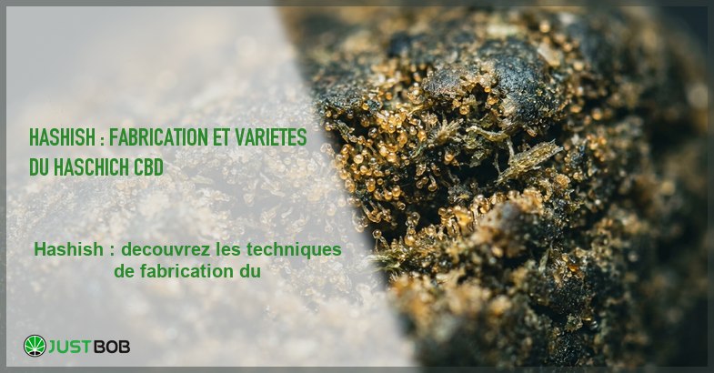 Banner de l'article hashish : fabrication et varietes du haschich cbd