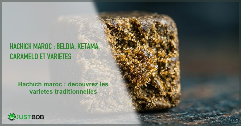 Banner de l'article hachich maroc : beldia, ketama et varietes du rif