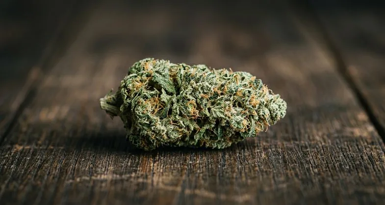 Fleur de chanvre CBD dense et résineuse posée sur une table en bois sombre