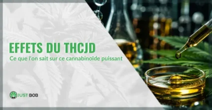 Effets du THCJD : ce que l'on sait sur ce cannabinoïde puissant | Justbob