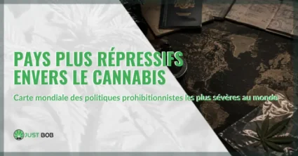 Les pays les plus répressifs envers le cannabis: classement et législations | Justbob