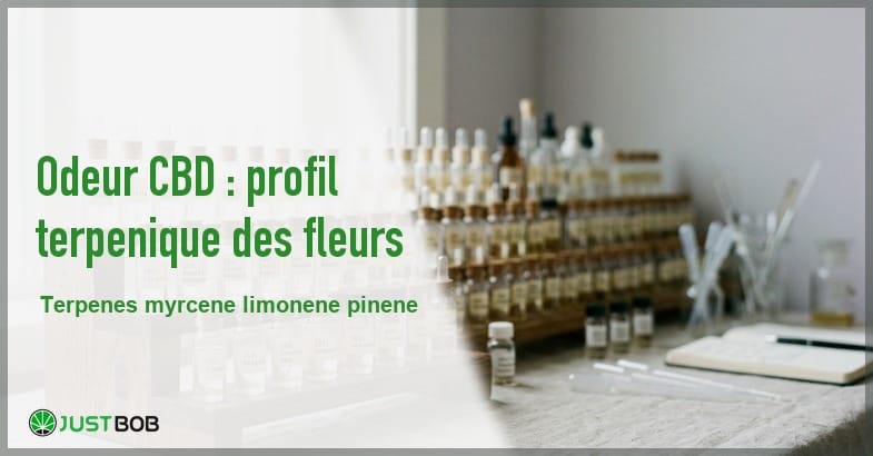 featured-a-quoi-ressemble-l-odeur-d-un-joint Banner de l'article odeur cbd : profil terpénique des fleurs