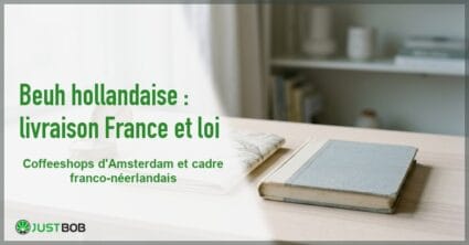 Banner de l'article beuh hollandaise : livraison france et loi