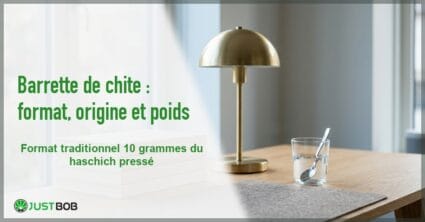 Banner de l'article barrette de chite : format, origine et poids