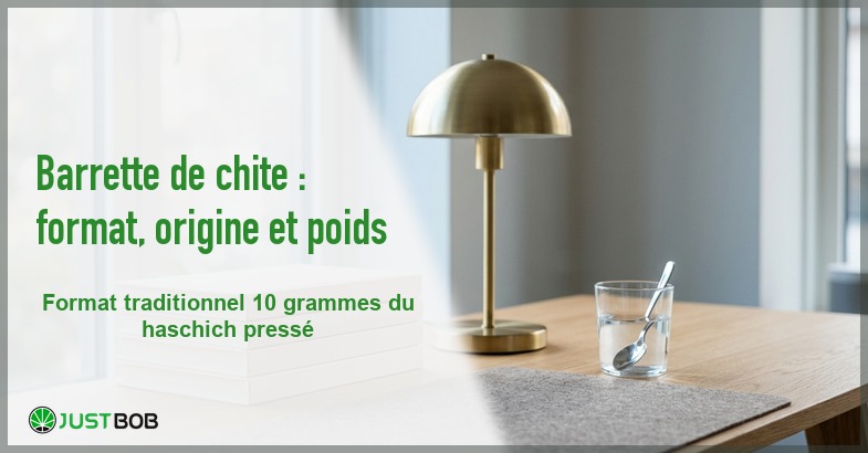 Banner de l'article barrette de chite : format, origine et poids