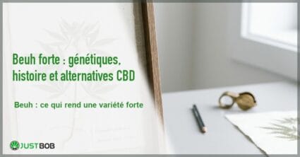 Banner de l'article beuh forte : génétiques, histoire et alternatives cbd