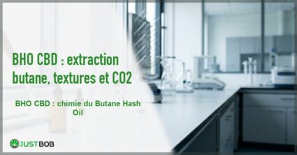 Banner de l'article bho cbd : extraction butane, textures et co2