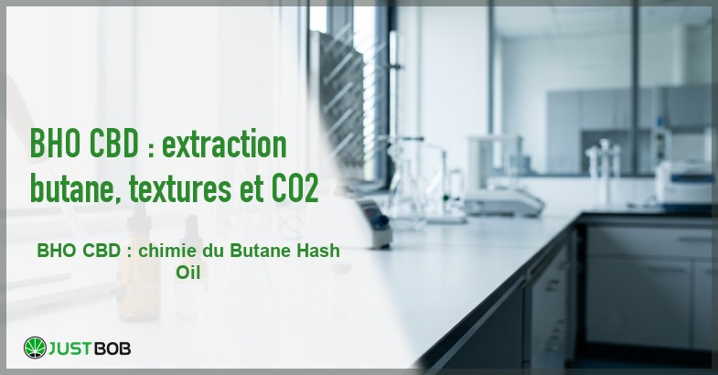 Banner de l'article bho cbd : extraction butane, textures et co2