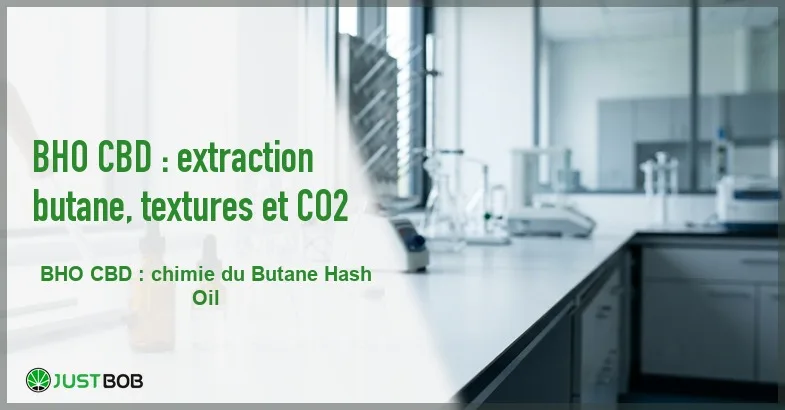 featured-bho-cbd Banner de l'article bho cbd : extraction butane, textures et co2