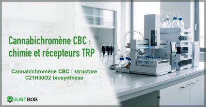 Banner de l'article cannabichromène cbc : chimie et récepteurs trp