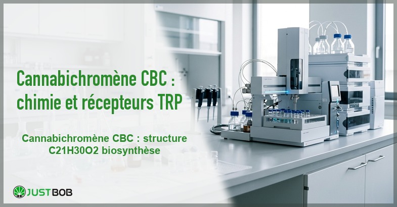 Banner de l'article cannabichromène cbc : chimie et récepteurs trp