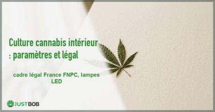 Banner de l'article culture cannabis intérieur : paramètres et légal