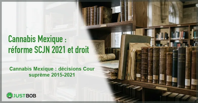 featured-cannabis-mexique Banner de l'article cannabis mexique : réforme scjn 2021 et droit