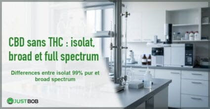 Banner de l'article cbd sans thc : isolat, broad et full spectrum