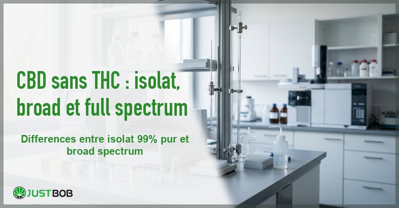 Banner de l'article cbd sans thc : isolat, broad et full spectrum