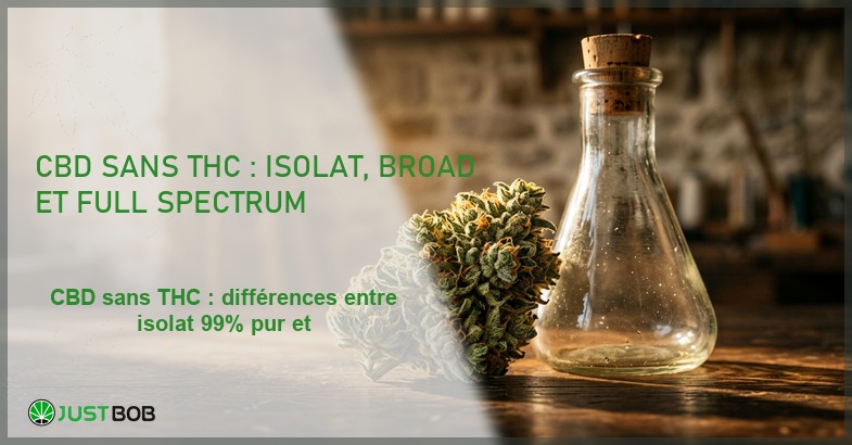 Banner de l'article cbd sans thc : isolat, broad et full spectrum