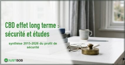 Banner de l'article cbd effet long terme : sécurité et études