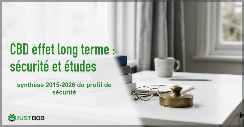 Banner de l'article cbd effet long terme : sécurité et études