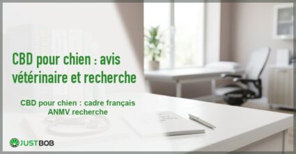 Banner de l'article cbd pour chien : avis vétérinaire et recherche