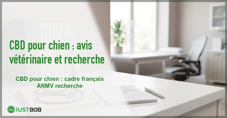featured-cbd-pour-chien Banner de l'article cbd pour chien : avis vétérinaire et recherche