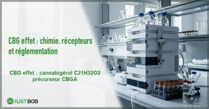 Banner de l'article cbg effet : chimie, récepteurs et réglementation