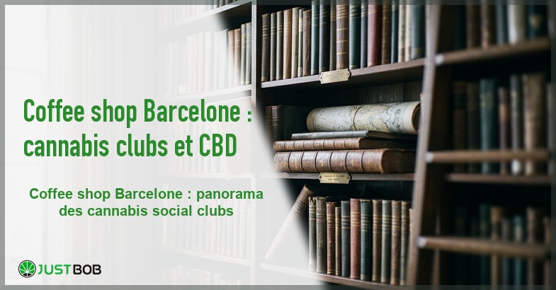 Banner de l'article coffee shop barcelone : cannabis clubs et cbd