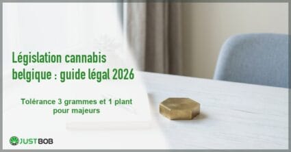Banner de l'article legislation cannabis belgique : guide legal 2026