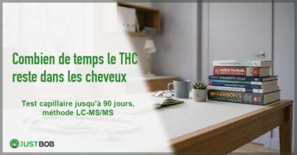 Banner de l'article combien de temps le thc reste dans les cheveux