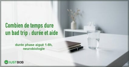 Banner de l'article combien de temps dure un bad trip : durée et aide