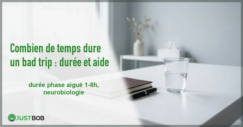 featured-combien-de-temps-pour-se-remettre-dun-bad-trip Banner de l'article combien de temps dure un bad trip : durée et aide
