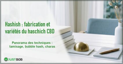 Banner de l'article hashish : fabrication et varietes du haschich cbd